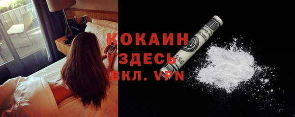 дживик Верея