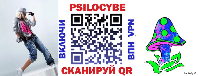 Псилоцибиновые грибы Psilocybine cubensis  Вытегра 
